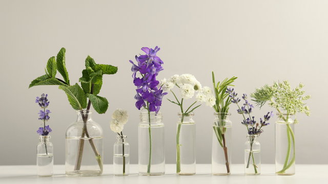 Cross-Reactivity: Why an Allergy to One Botanical Might Mean Avoiding Others